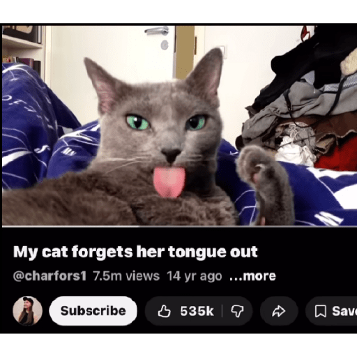 Shitpost 6