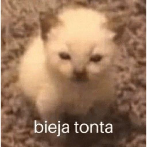 Shitpost 16