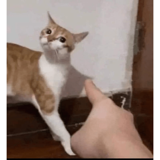 Shitpost 23