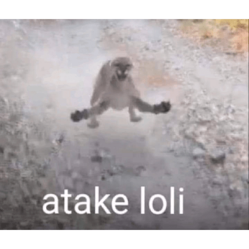Shitpost 27