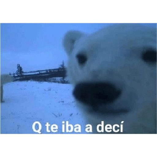 Ehhhh ehhhh ehhh ehhh 2