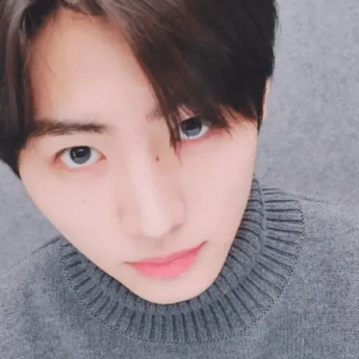 Monites kpop 9