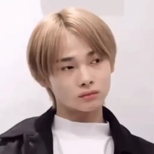 Monites kpop 8