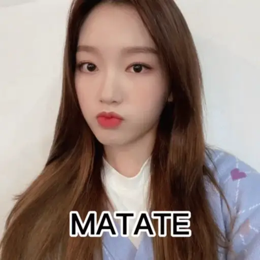 Monites kpop 2
