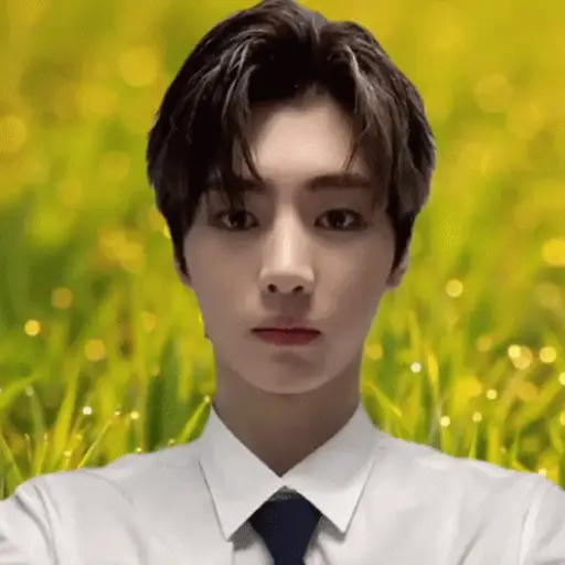 Monites kpop 29