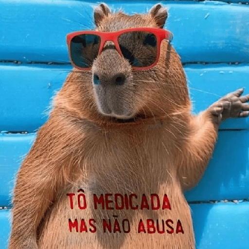 FRASES ALEATÓRIAS✍️ 13