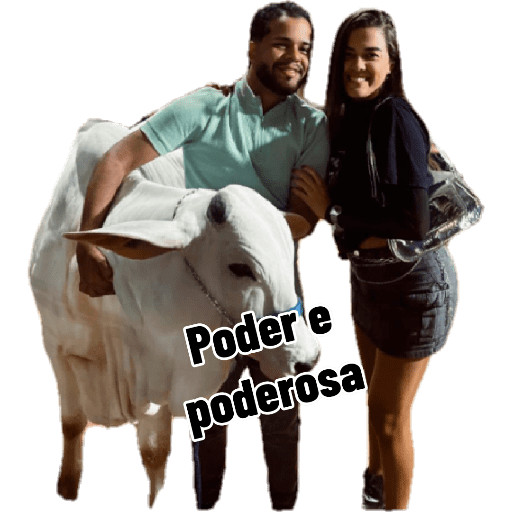 Minhas figurinhas 30