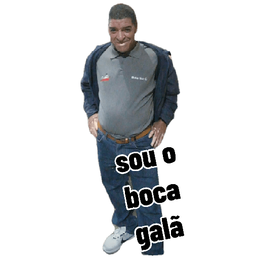 Minhas figurinhas 13
