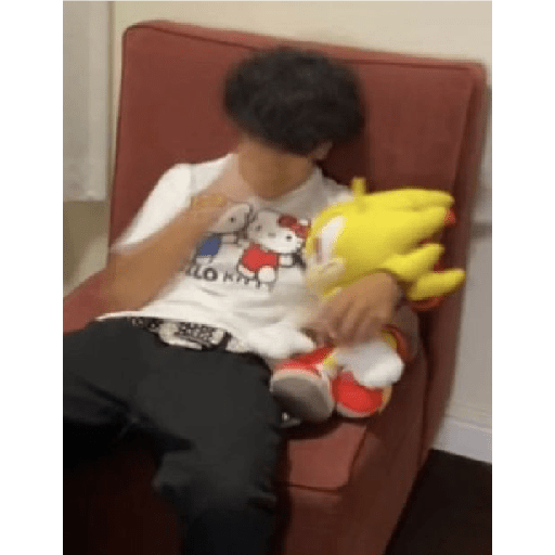 Sonic plush 17