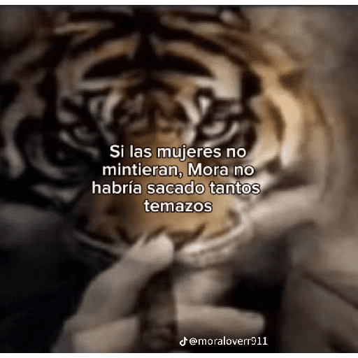 Factos Random  15