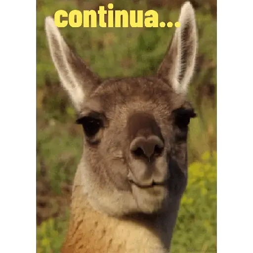 Shitpost 6