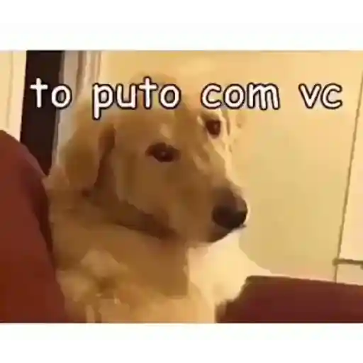 Reações 5