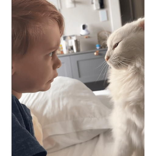 Sitickers 19