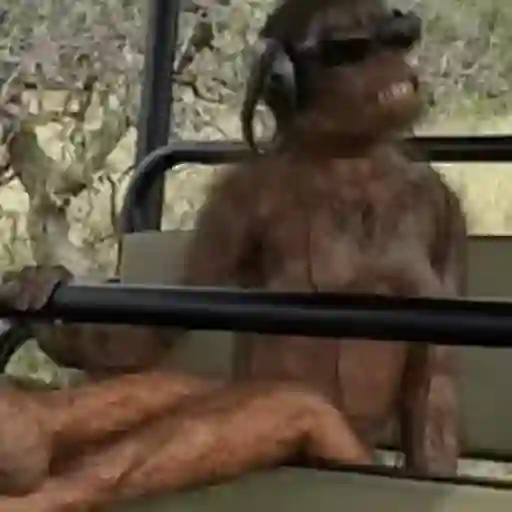 Macacos foda @aliciolz 15