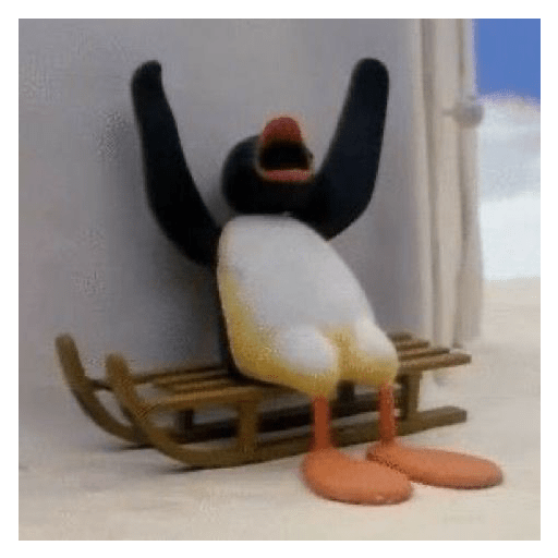 Pingu 🐧 16
