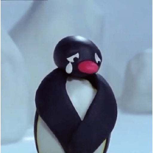 Pingu 🐧 5