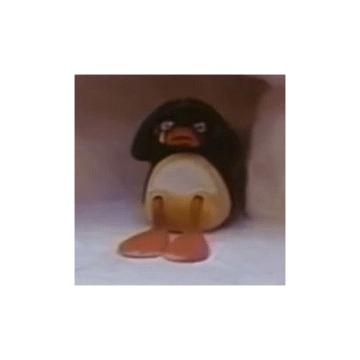 Pingu 🐧 15