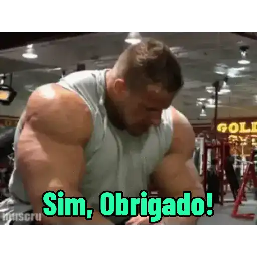 Pack 100% Musculação 6