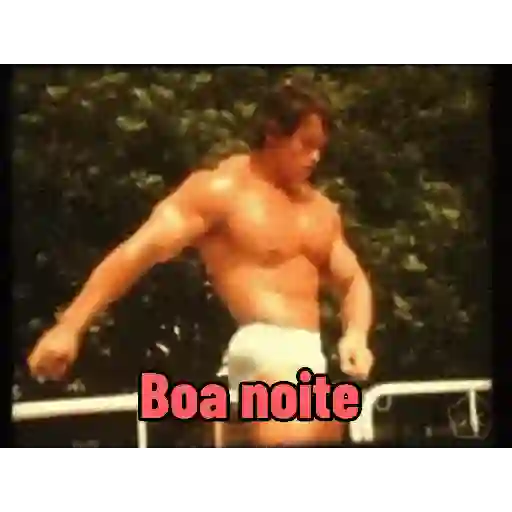 Pack 100% Musculação 3