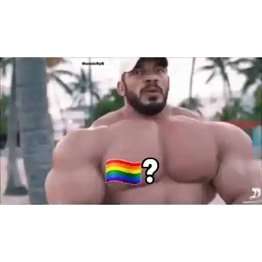 Pack 100% Musculação 9