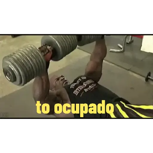 Pack 100% Musculação 1