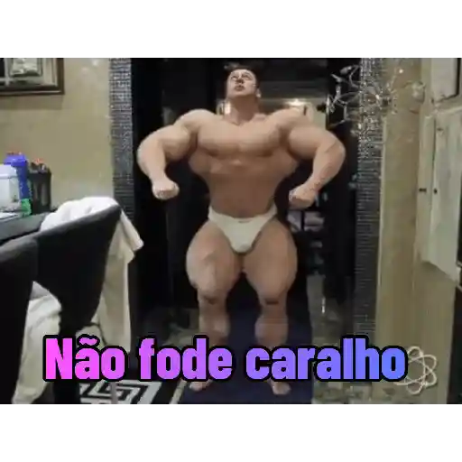 Pack 100% Musculação 8