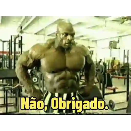 Pack 100% Musculação 4