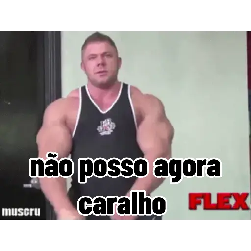 Pack 100% Musculação 2