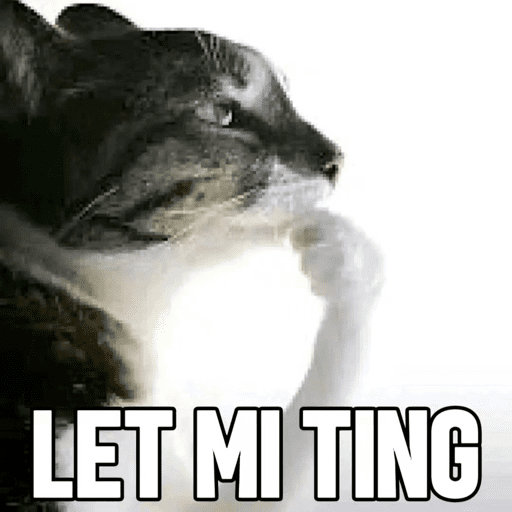 Koceng 2 4