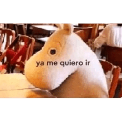 Memes 5