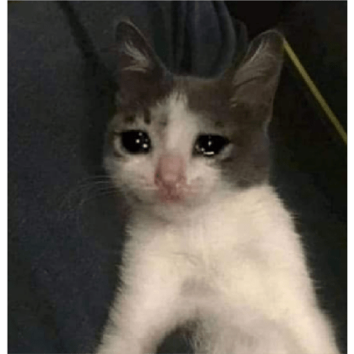 Memes 27