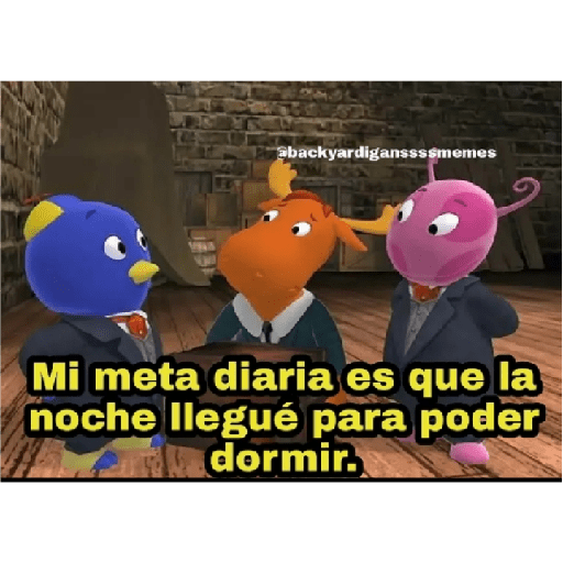 Memes 4