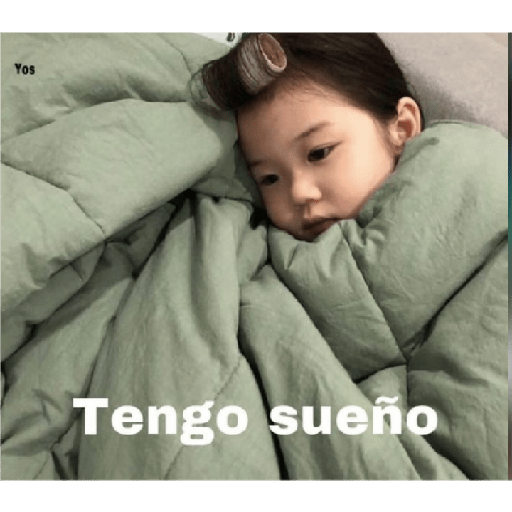 Memes 28
