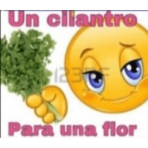 Memes 14