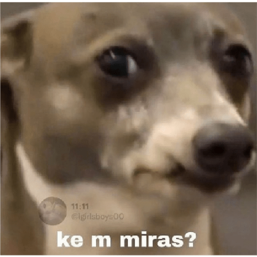 Memes 15
