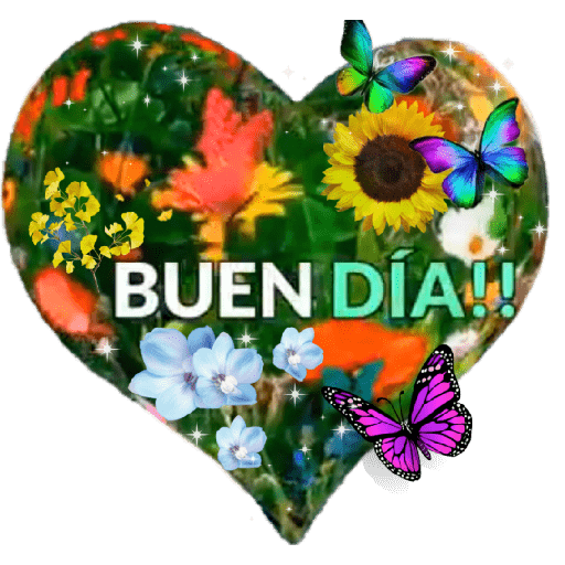 Hello buenos días 🤗 20