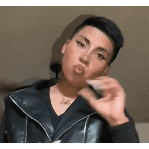 Voce gay 26