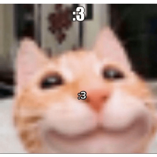 Michis 5
