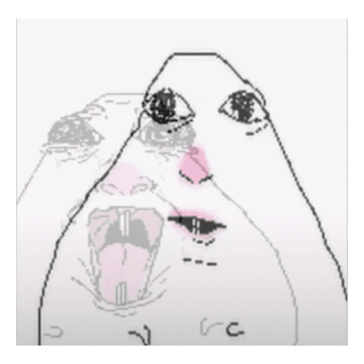Hamster 30