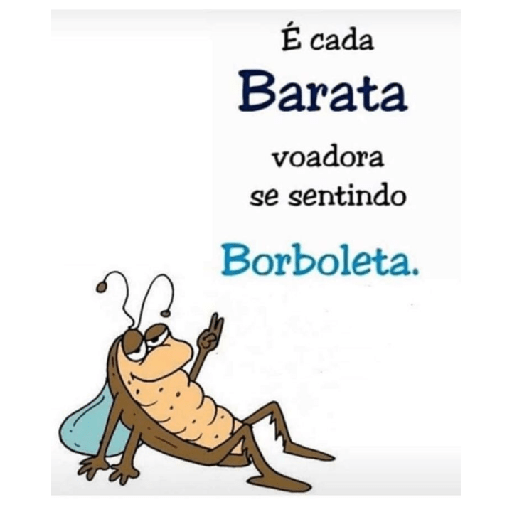 Indiretas 12