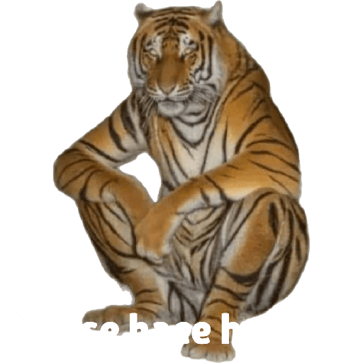 ELkbzon