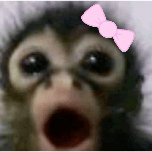 ! ! 4