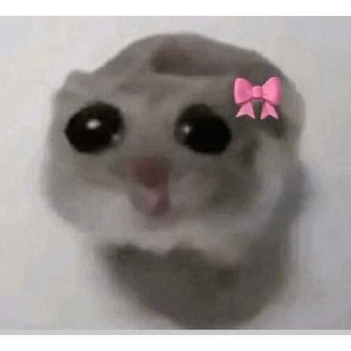 ! ! 3