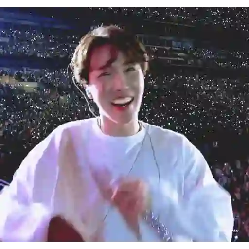 BTS GIF 28