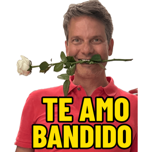 Novos 26 6