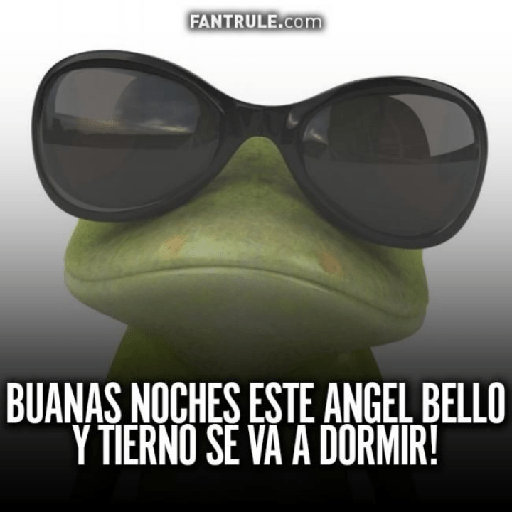 Buenas noches 29