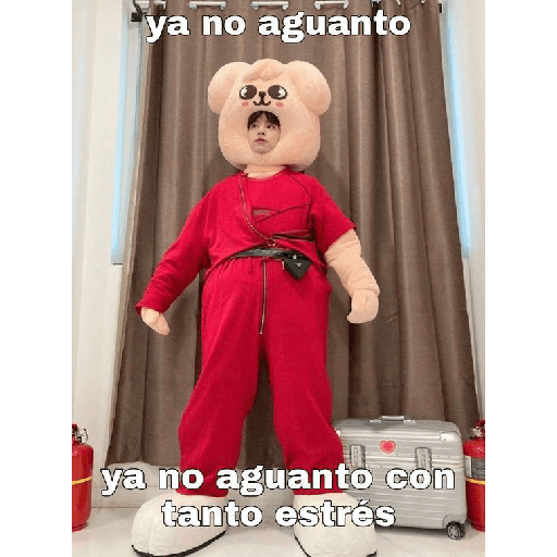 Miau 24