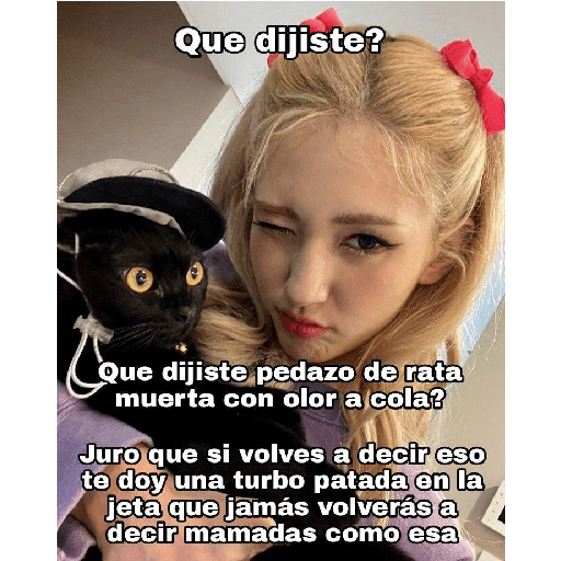 Miau 30