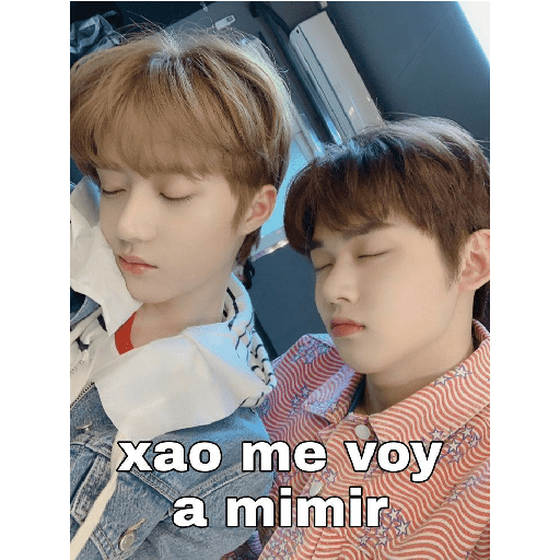 Miau 27