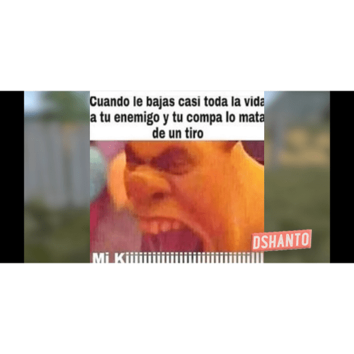 Michis y mas 12